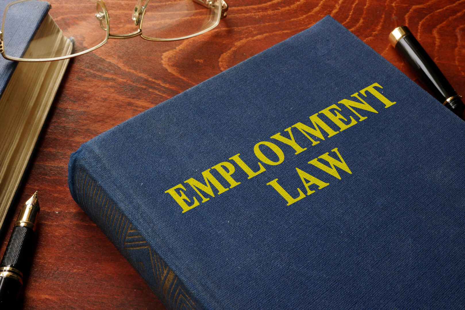 Book with title employment law.